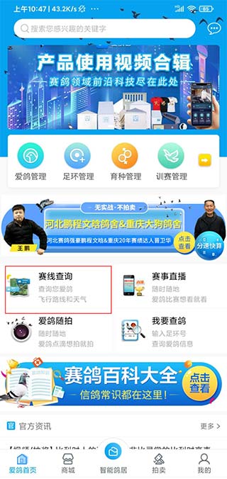 爱鸽者官方版