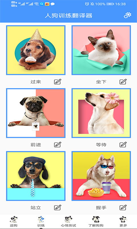 人狗训练翻译器中文版