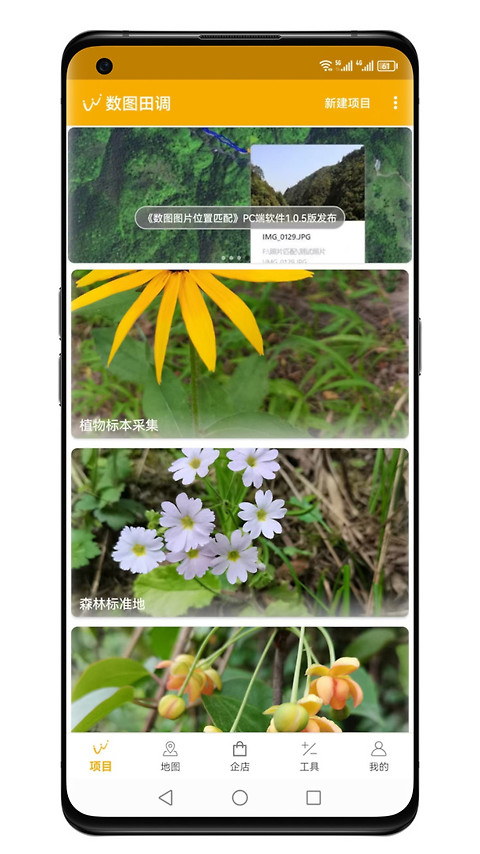 数图田调app