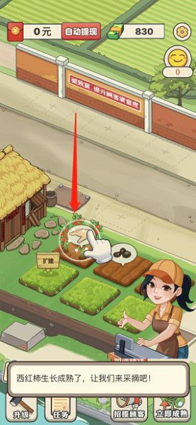 有机菜市场官方正版