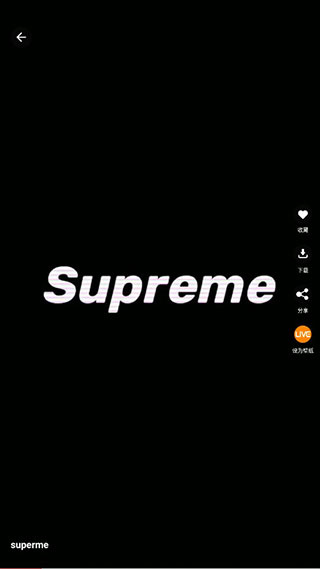 手机动态壁纸app