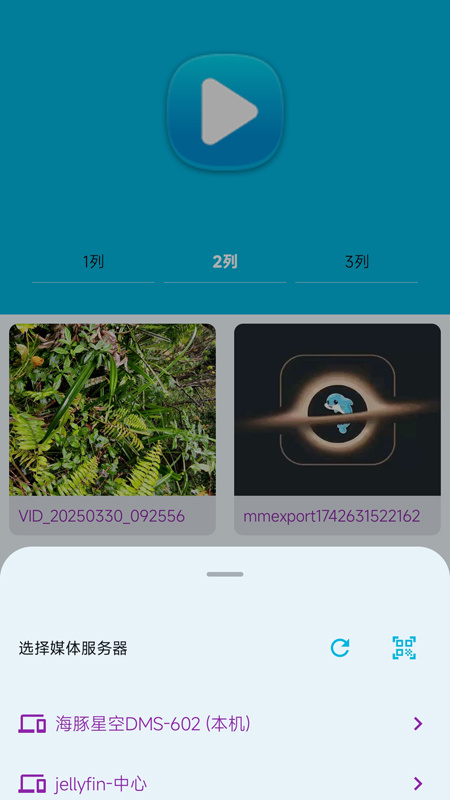 海豚星空投屏app