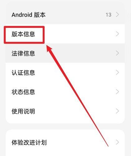 一加 Ace 2V如何进入开发者模式