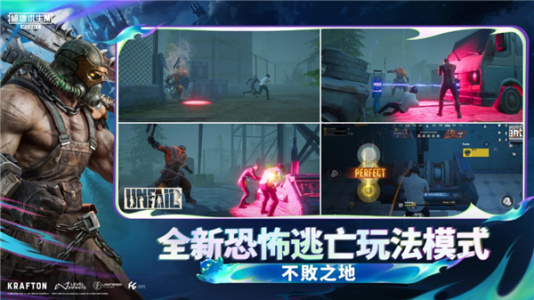 PUBG国际服官方正版