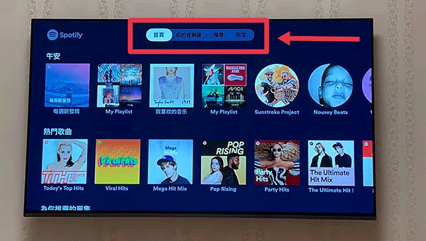 Spotify tv版