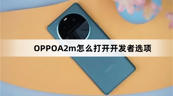 OPPOA2m如何打开开发者选项