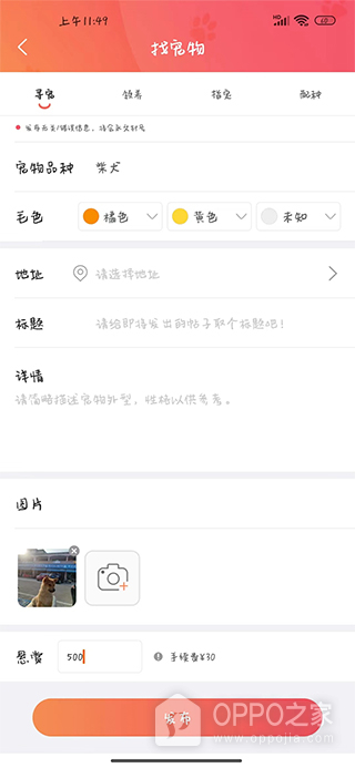 懒洋葱官方版