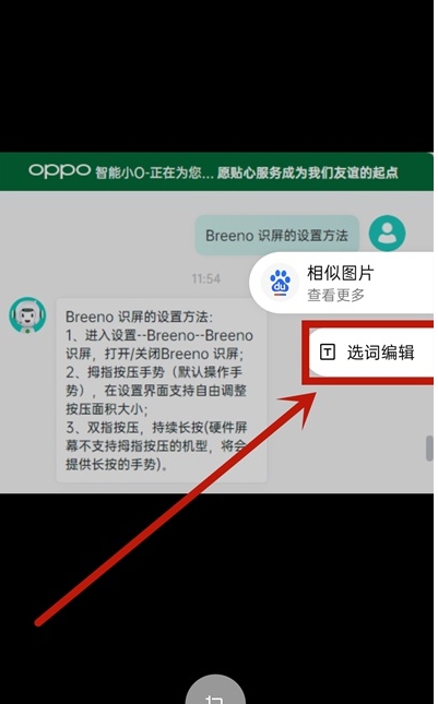 OPPOReno10Pro+如何提取图中文字