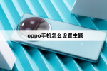oppo手机在哪里设置主题