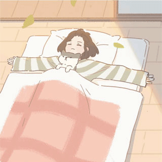 遇见你的猫2026最新版