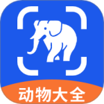 有机菜市场安卓版