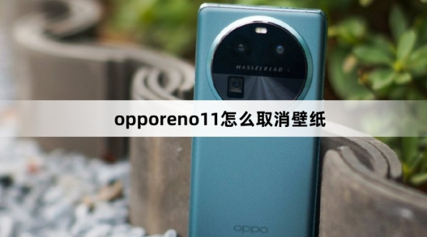 opporeno11如何取消壁纸