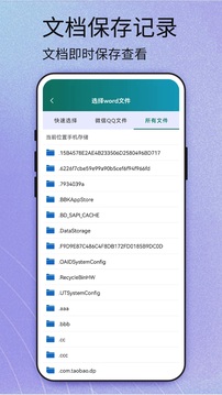word文档