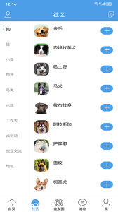 宠物之家官方版