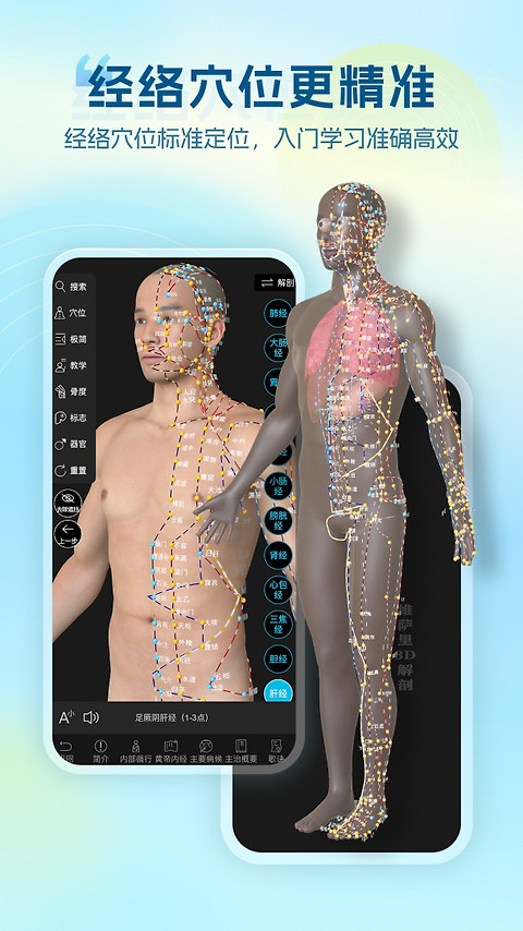 维萨里3D解剖app