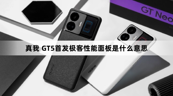 真我 GT5极客性能面板是什么意思