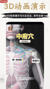 中济经络穴位app