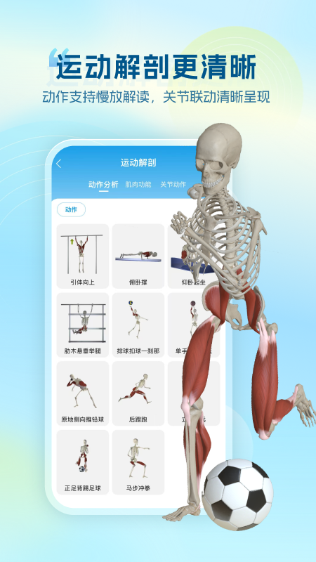 维萨里3D解剖app
