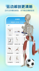 维萨里3D解剖app