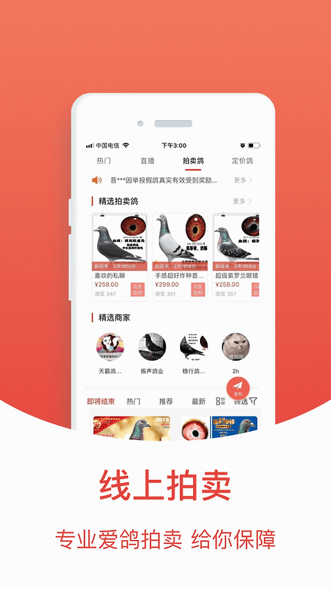 搜鸽天下app