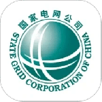 网上国网app
