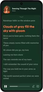 Lark Player官方版