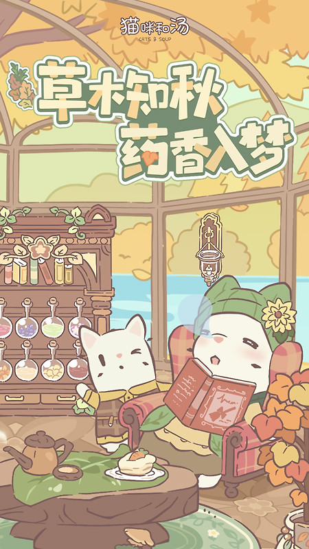 猫咪和汤