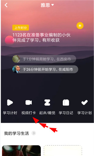 靠岸app