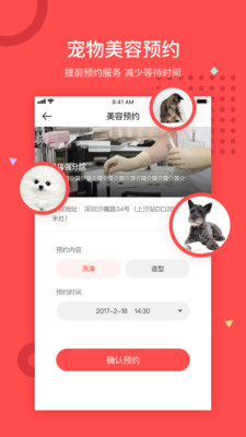 阿闻宠物官方版