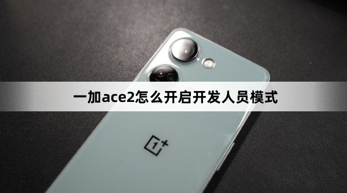 一加ace2如何开启开发人员模式