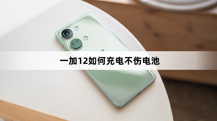 一加12怎么充电不伤电池