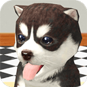 我的萌宠世界官方正版