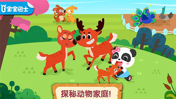 奇妙的动物家庭
