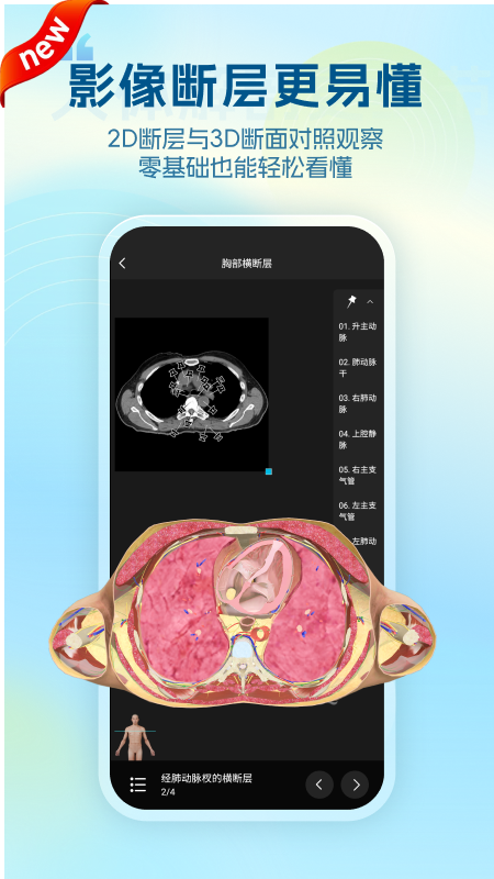 维萨里3D解剖app