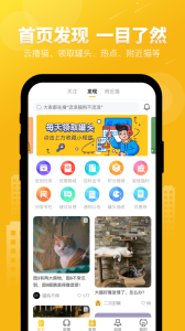 友猫app