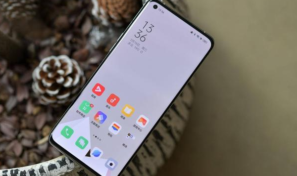 OPPOFindX6pro是不是全网通
