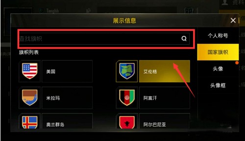 和平精英国际服官方正版