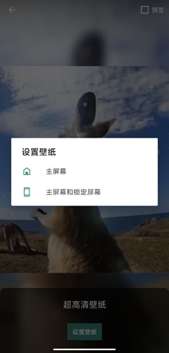 超高清壁纸app