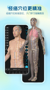 维萨里3D解剖app