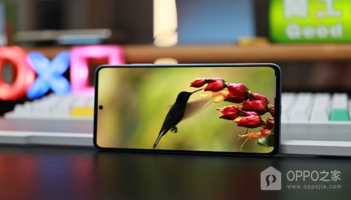 OPPOK11设置主页面进行教程