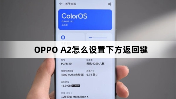 OPPO A2如何设置下方返回键