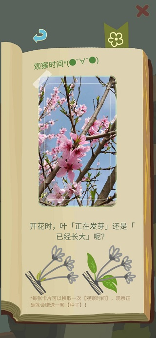 老农种树官方正版