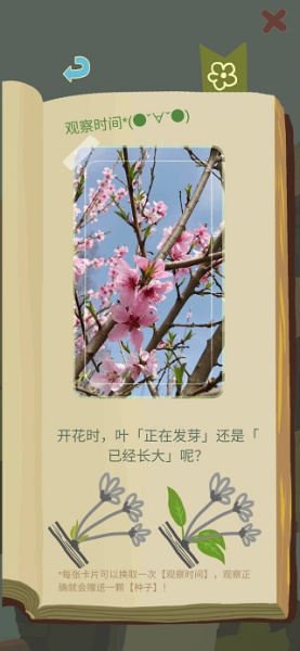 老农种树官方正版