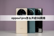 oppoa1pro如何开启5G网络