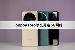 oppoa1pro如何开启5G网络