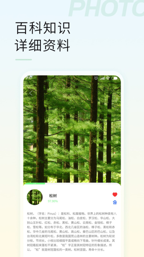 智能拍照识物app