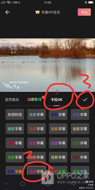 绘影大字版app