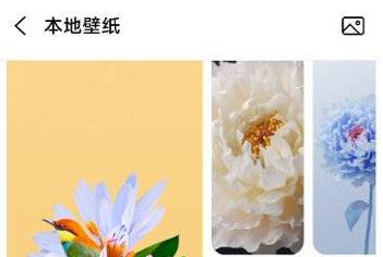 oppok11如何设置自定义壁纸