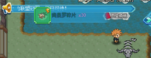 口袋新世代oppo服