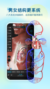 维萨里3D解剖app